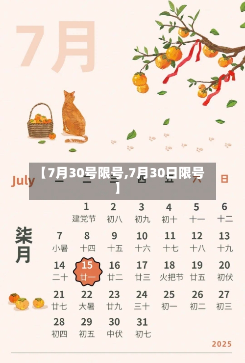 【7月30号限号,7月30日限号】