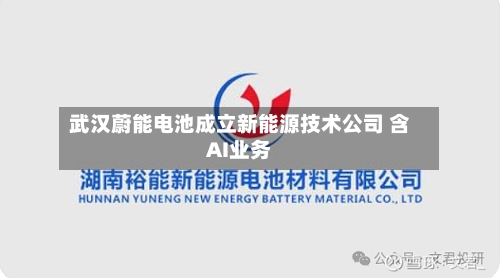 武汉蔚能电池成立新能源技术公司 含AI业务-第2张图片