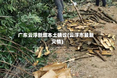 广东云浮新增本土确诊(云浮市最新灾情)-第3张图片