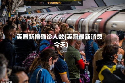 英园新增确诊人数(英冠最新消息今天)