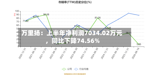 万里扬：上半年净利润7034.02万元，同比下降74.56%