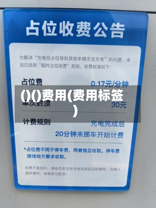 ()()费用(费用标签)