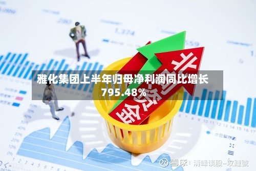 雅化集团上半年归母净利润同比增长795.48%-第1张图片