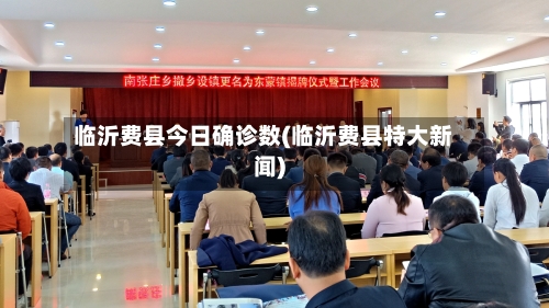 临沂费县今日确诊数(临沂费县特大新闻)