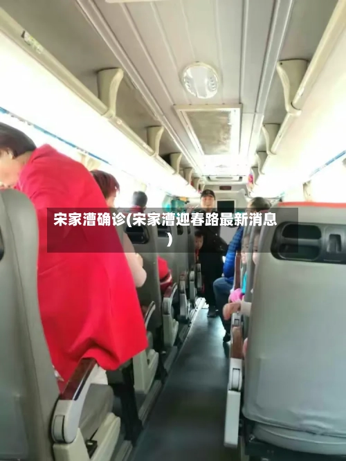 宋家漕确诊(宋家漕迎春路最新消息)-第3张图片