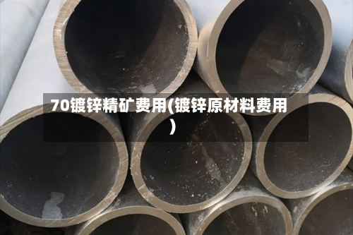 70镀锌精矿费用(镀锌原材料费用)-第2张图片