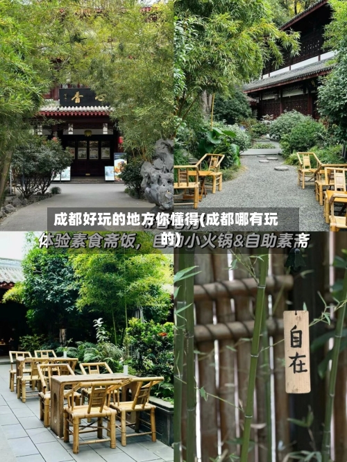 成都好玩的地方你懂得(成都哪有玩的)-第2张图片