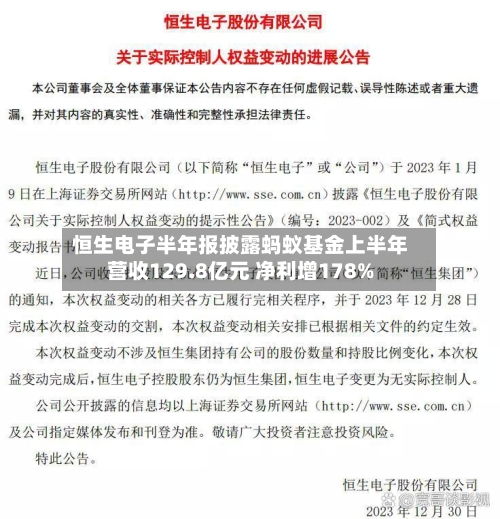 恒生电子半年报披露蚂蚁基金上半年营收129.8亿元 净利增178%-第2张图片