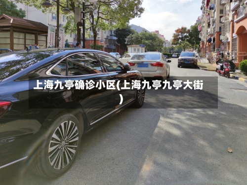 上海九亭确诊小区(上海九亭九亭大街)-第2张图片