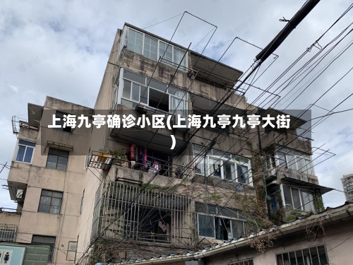 上海九亭确诊小区(上海九亭九亭大街)