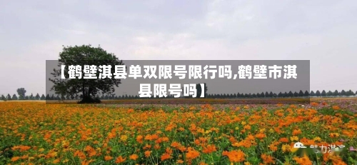 【鹤壁淇县单双限号限行吗,鹤壁市淇县限号吗】