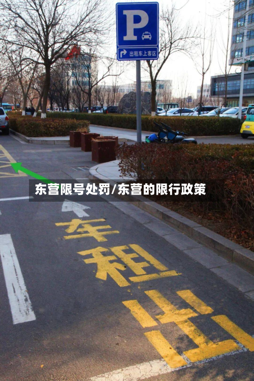 东营限号处罚/东营的限行政策
