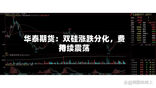 华泰期货：双硅涨跌分化，费用持续震荡-第2张图片