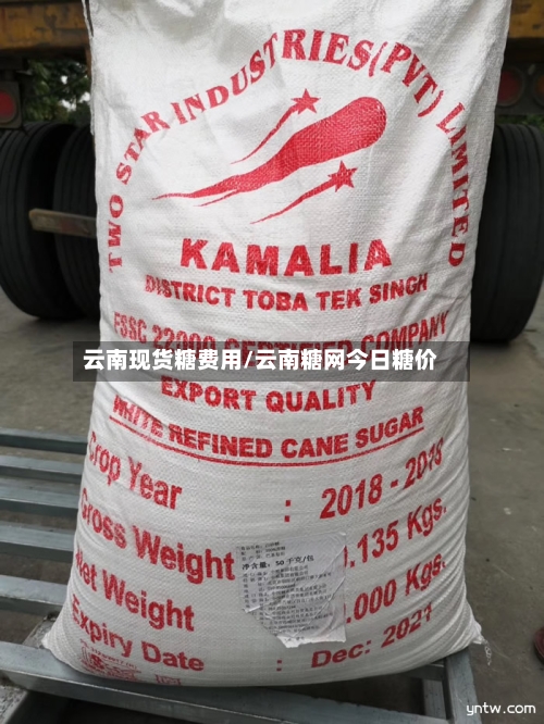 云南现货糖费用/云南糖网今日糖价
