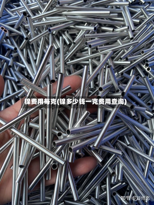 镍费用每克(镍多少钱一克费用查询)-第2张图片