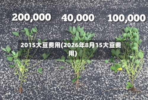 2015大豆费用(2026年8月15大豆费用)-第3张图片