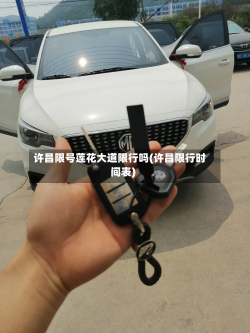 许昌限号莲花大道限行吗(许昌限行时间表)