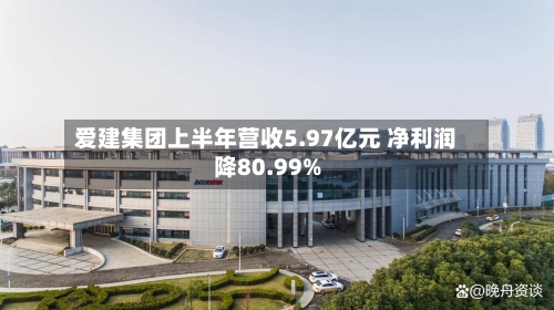 爱建集团上半年营收5.97亿元 净利润降80.99%