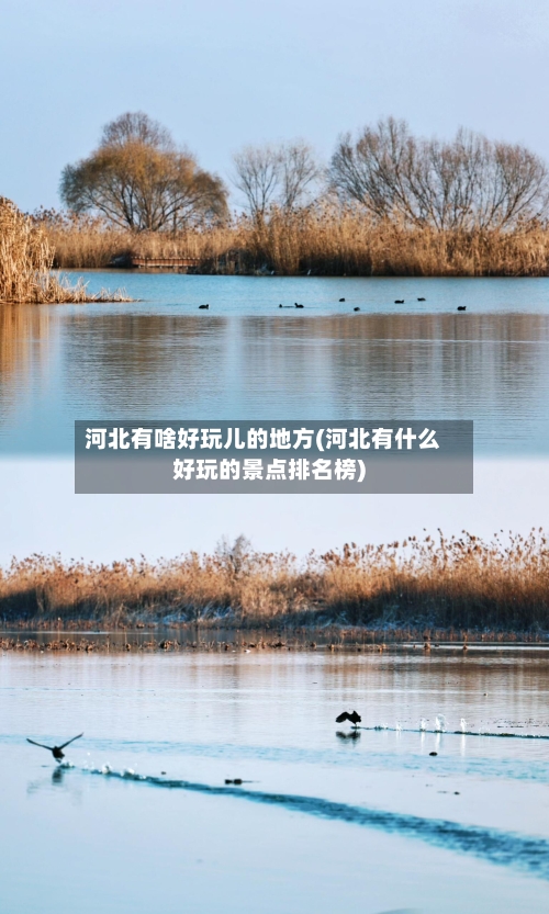河北有啥好玩儿的地方(河北有什么好玩的景点排名榜)