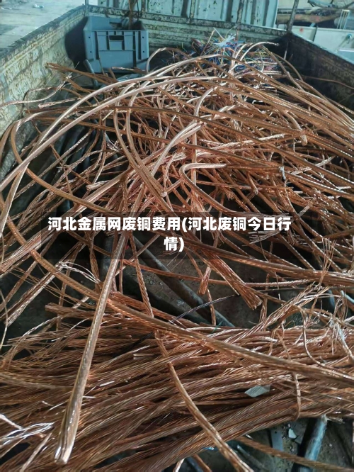 河北金属网废铜费用(河北废铜今日行情)