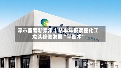 深市蓝筹新景象丨从半年报读懂化工龙头稳健发展“平衡术”-第3张图片