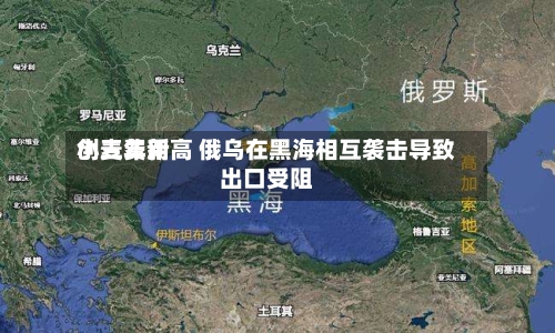 小麦费用创三年新高 俄乌在黑海相互袭击导致出口受阻