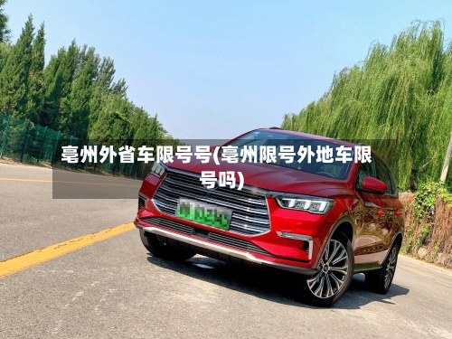 亳州外省车限号号(亳州限号外地车限号吗)-第2张图片