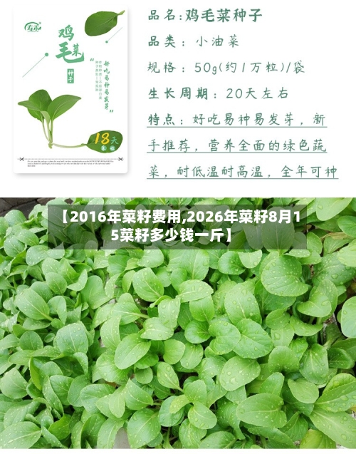 【2016年菜籽费用,2026年菜籽8月15菜籽多少钱一斤】