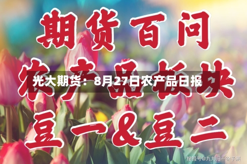 光大期货:8月27日农产品日报-第2张图片
