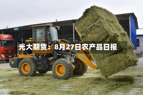 光大期货:8月27日农产品日报-第3张图片