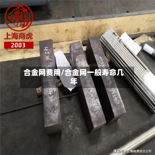 合金网费用/合金网一般寿命几年