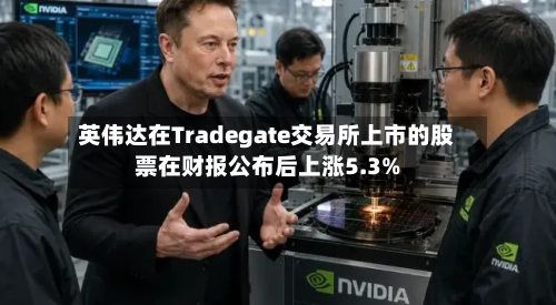 英伟达在Tradegate交易所上市的股票在财报公布后上涨5.3%