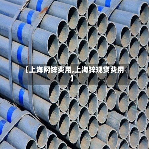 【上海网锌费用,上海锌现货费用】