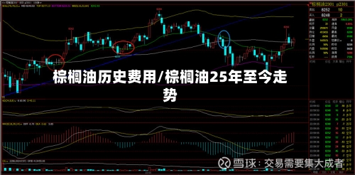 棕榈油历史费用/棕榈油25年至今走势-第3张图片