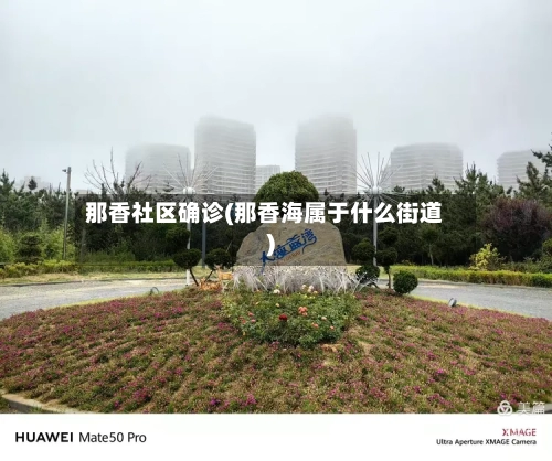 那香社区确诊(那香海属于什么街道)-第2张图片