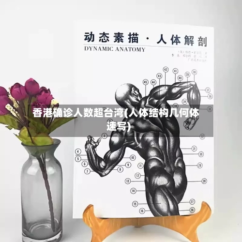 香港确诊人数超台湾(人体结构几何体速写)