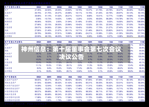 神州信息：第十届董事会第七次会议决议公告