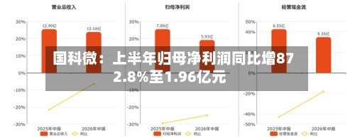 国科微：上半年归母净利润同比增872.8%至1.96亿元-第1张图片