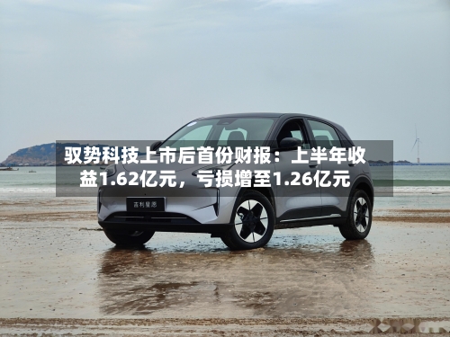 驭势科技上市后首份财报：上半年收益1.62亿元	，亏损增至1.26亿元-第2张图片