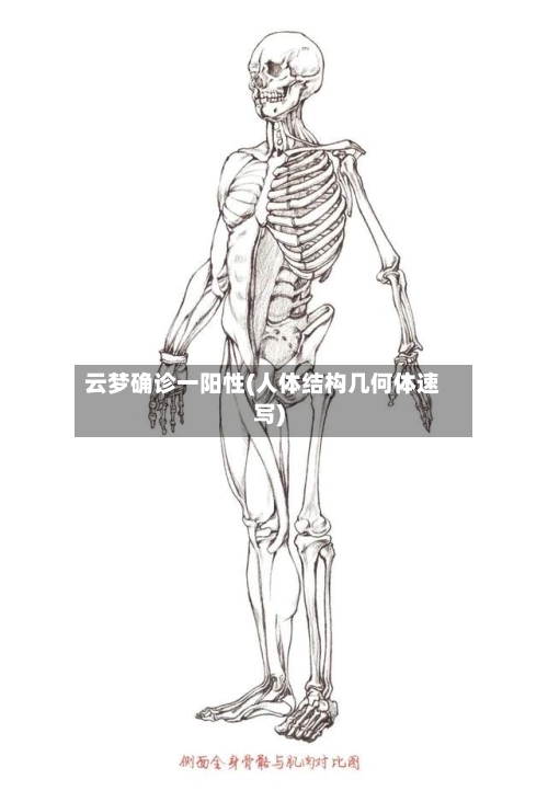 云梦确诊一阳性(人体结构几何体速写)