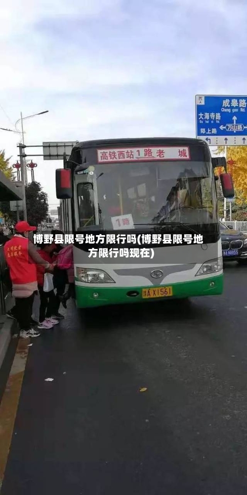 博野县限号地方限行吗(博野县限号地方限行吗现在)-第3张图片