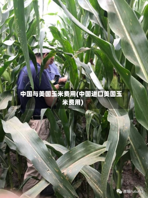 中国与美国玉米费用(中国进口美国玉米费用)
