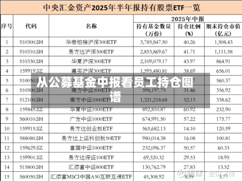 从公募基金中报看员工持仓图谱-第2张图片