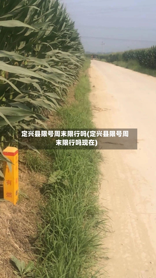 定兴县限号周末限行吗(定兴县限号周末限行吗现在)-第3张图片