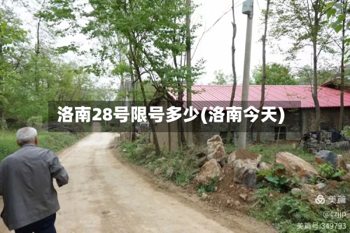 洛南28号限号多少(洛南今天)