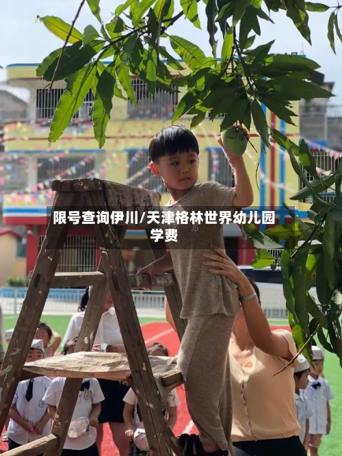 限号查询伊川/天津格林世界幼儿园学费-第2张图片