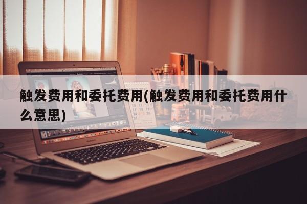 触发费用和委托费用(触发费用和委托费用什么意思)
