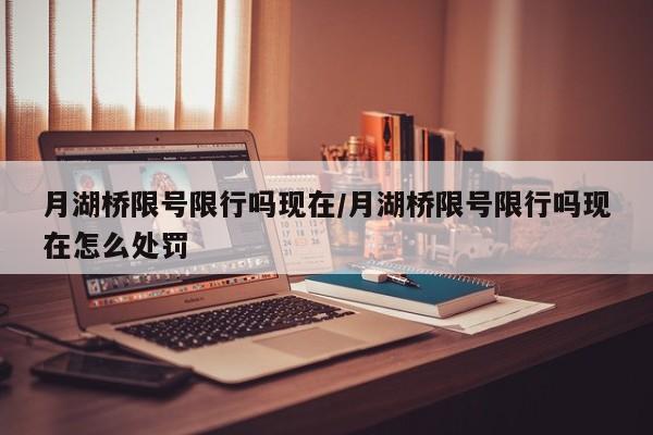 月湖桥限号限行吗现在/月湖桥限号限行吗现在怎么处罚