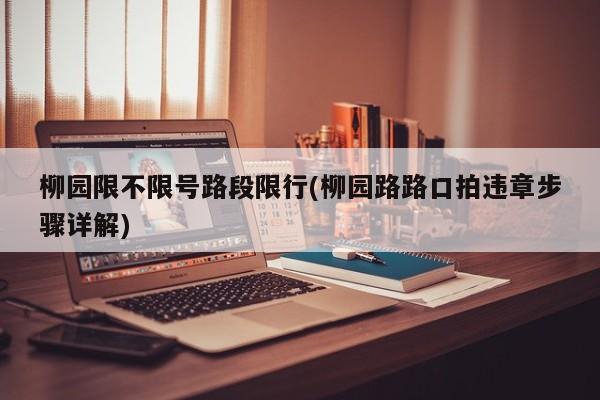 柳园限不限号路段限行(柳园路路口拍违章步骤详解)