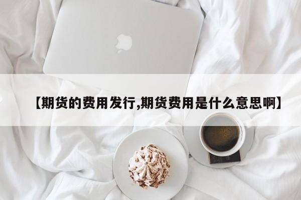 【期货的费用发行,期货费用是什么意思啊】